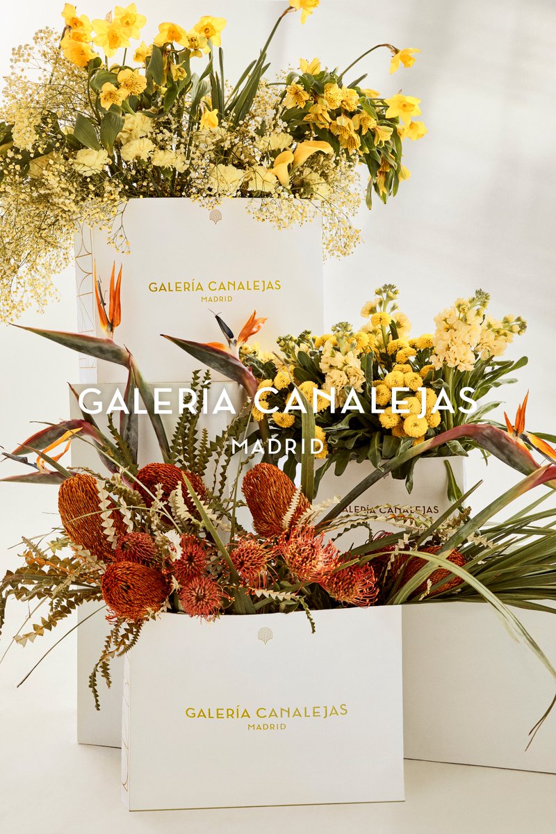 Galería Canalejas tweet media