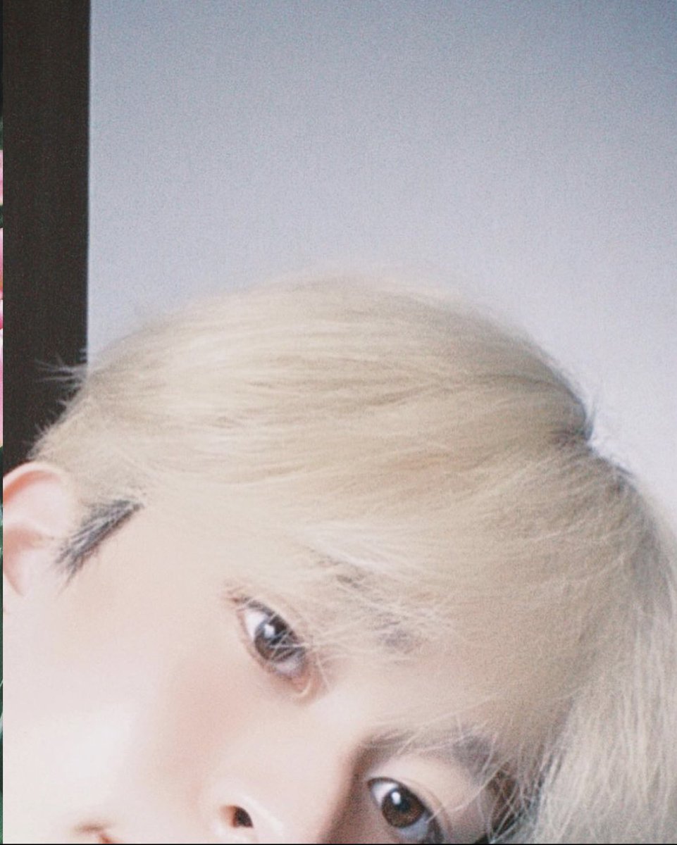 syun_a_'s tweet photo. だめだすきだ https://t.co/y7Ng2BG0LI