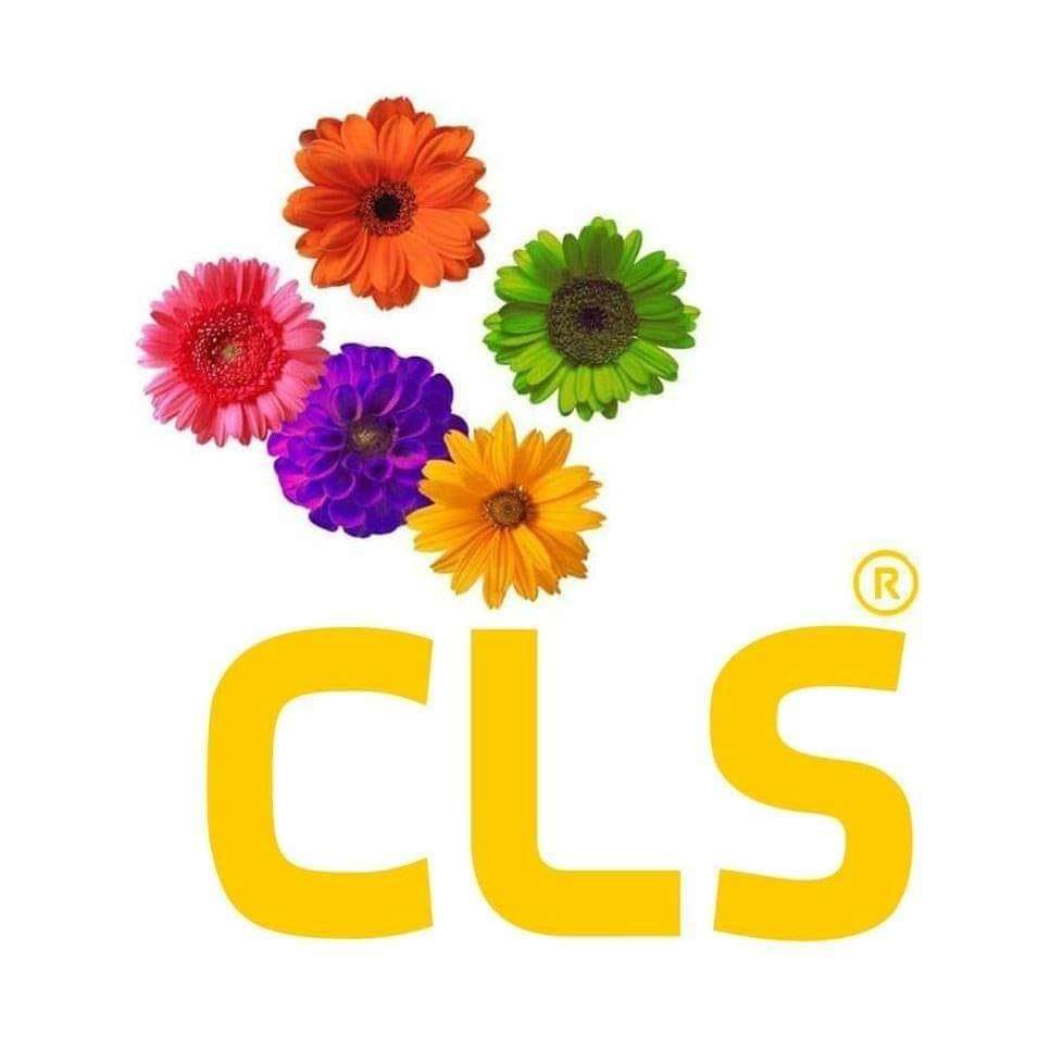ClubLASASPORT's tweet photo. #primavera https://t.co/hmVGWgLAyg