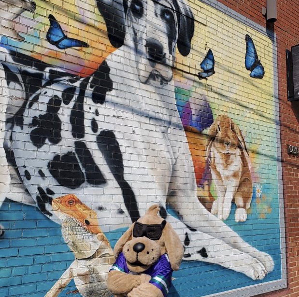 Good ‘Ole puppy days…. #happynationalpuppyday🐶