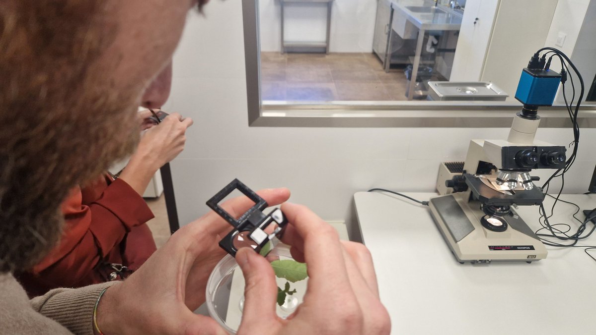 Bayer4CropsES's tweet photo. Iniciamos la visita con los medios al Hub de I+D Brenes 🔬🦠
Comenzamos en los laboratorios donde se inicia el desarrollo de nuevos productos. Los asistentes tienen la oportunidad de descubrir las principales plagas, enfermedades y malas hierbas a controlar.
#️⃣ #DatosBayer2023 https://t.co/jwMFRoe4Vg