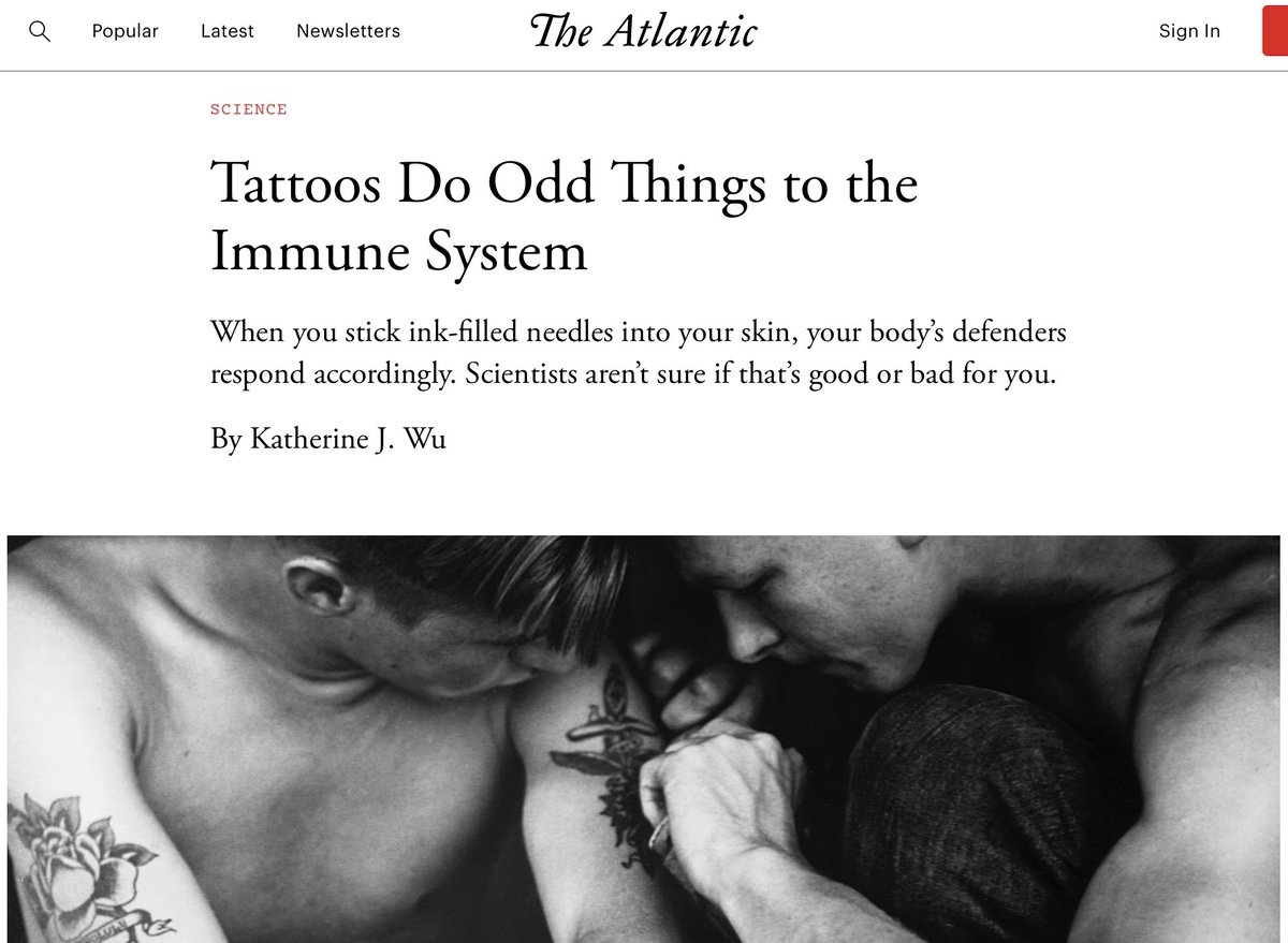 bprenato's tweet photo. Artigo interessante no The Atlantic sobre como o nosso sistema imunológico reage a tatuagens. “Nosso sistema imunológico está constantemente fazendo o possível para destruí-las.” Será que o corpo está tentando dizer alguma coisa? https://t.co/cDT0kW6A8F