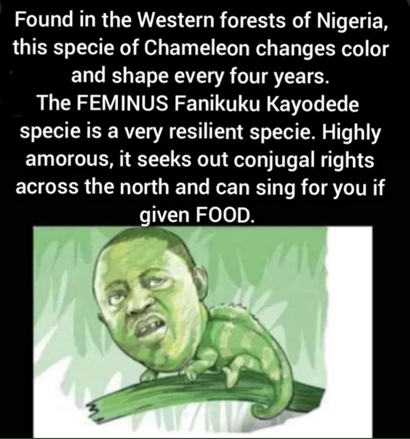 itz_ogbole's tweet photo. @realFFK https://t.co/U22SqS3rxU