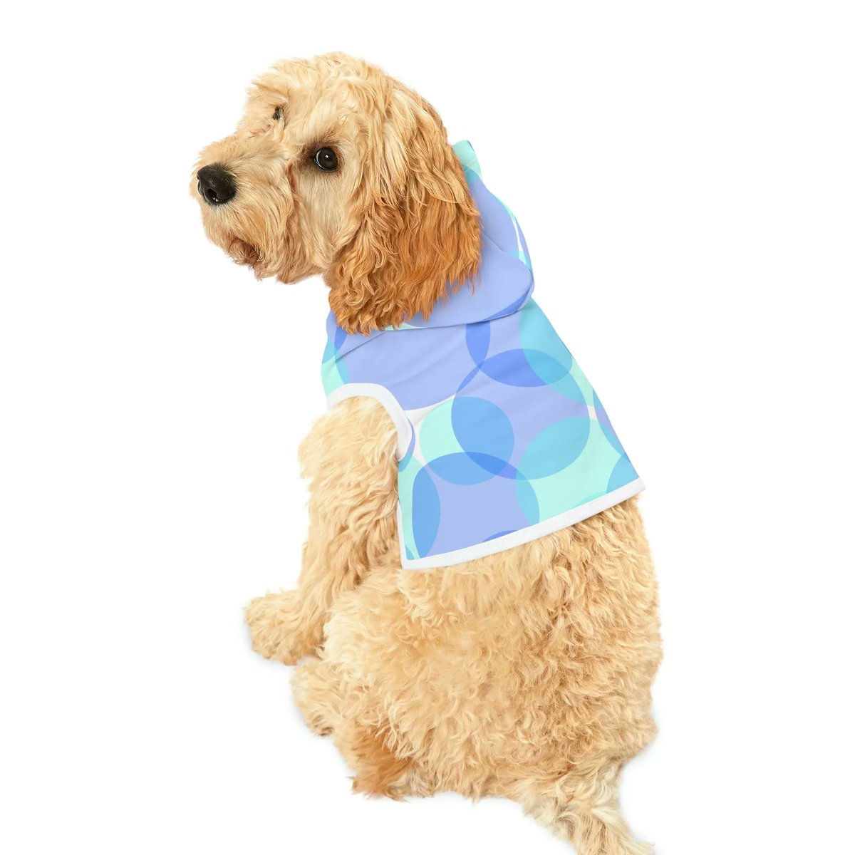 DipaliZ, green and blue circles pattern, Dog Hoodie buff.ly/3LFOEzF
#doghoodie #hoodie #petlover #petdog #dogclothing #petfashion #doglife #dogapparel #dogclothing #dipaliz #idigitalstock @dipaliZ @iDigitalStock