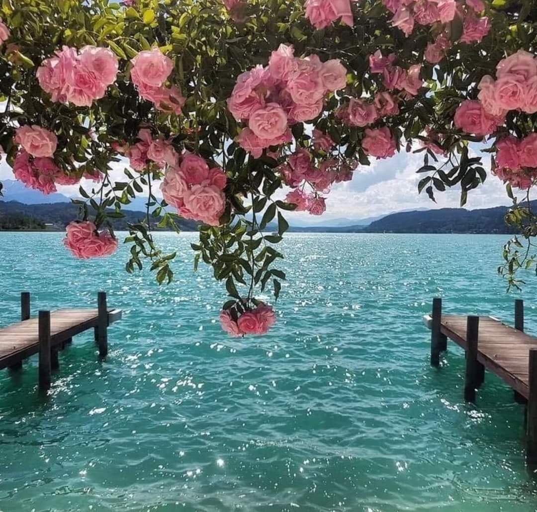 gabyvargasmx's tweet photo. Tu felicidad depende solo de ti. https://t.co/9dM4v8nwRg
