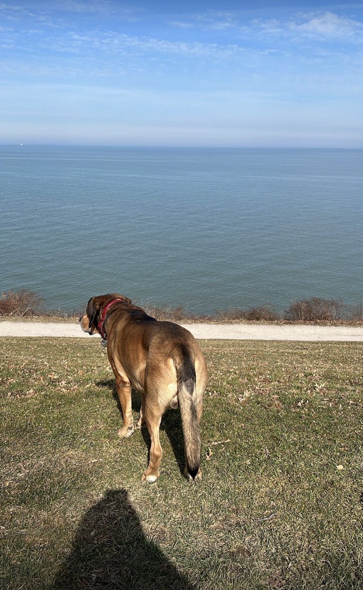 Happy #NationalPuppyDay my #pup loves the <a href="/clevemetroparks/">Cleveland Metroparks</a> ❣️