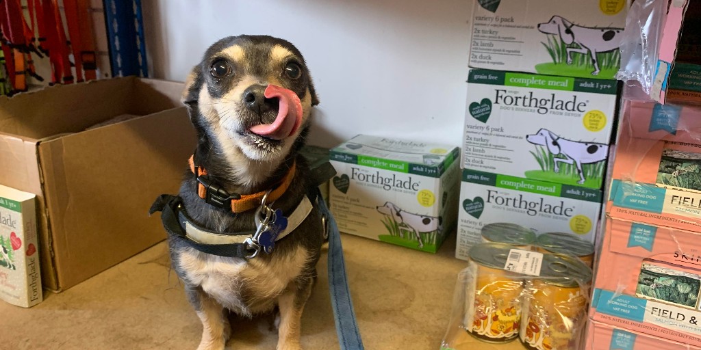 RSPCA Cornwall tweet media