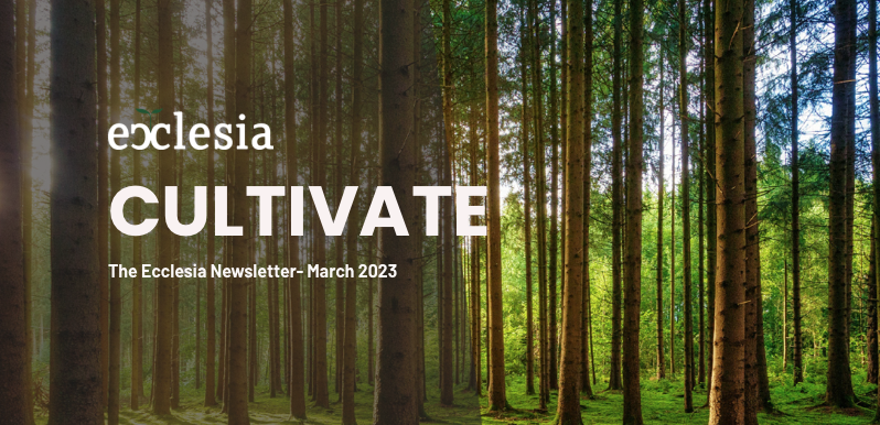 What Comes Next: How Do Leaders and Churches Flourish in a Post-Church Era? - mailchi.mp/2d8225fafa6f/w…