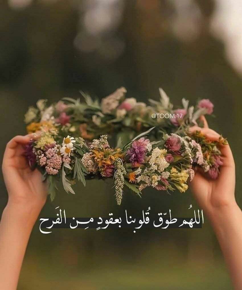 روح الياسمين. tweet media