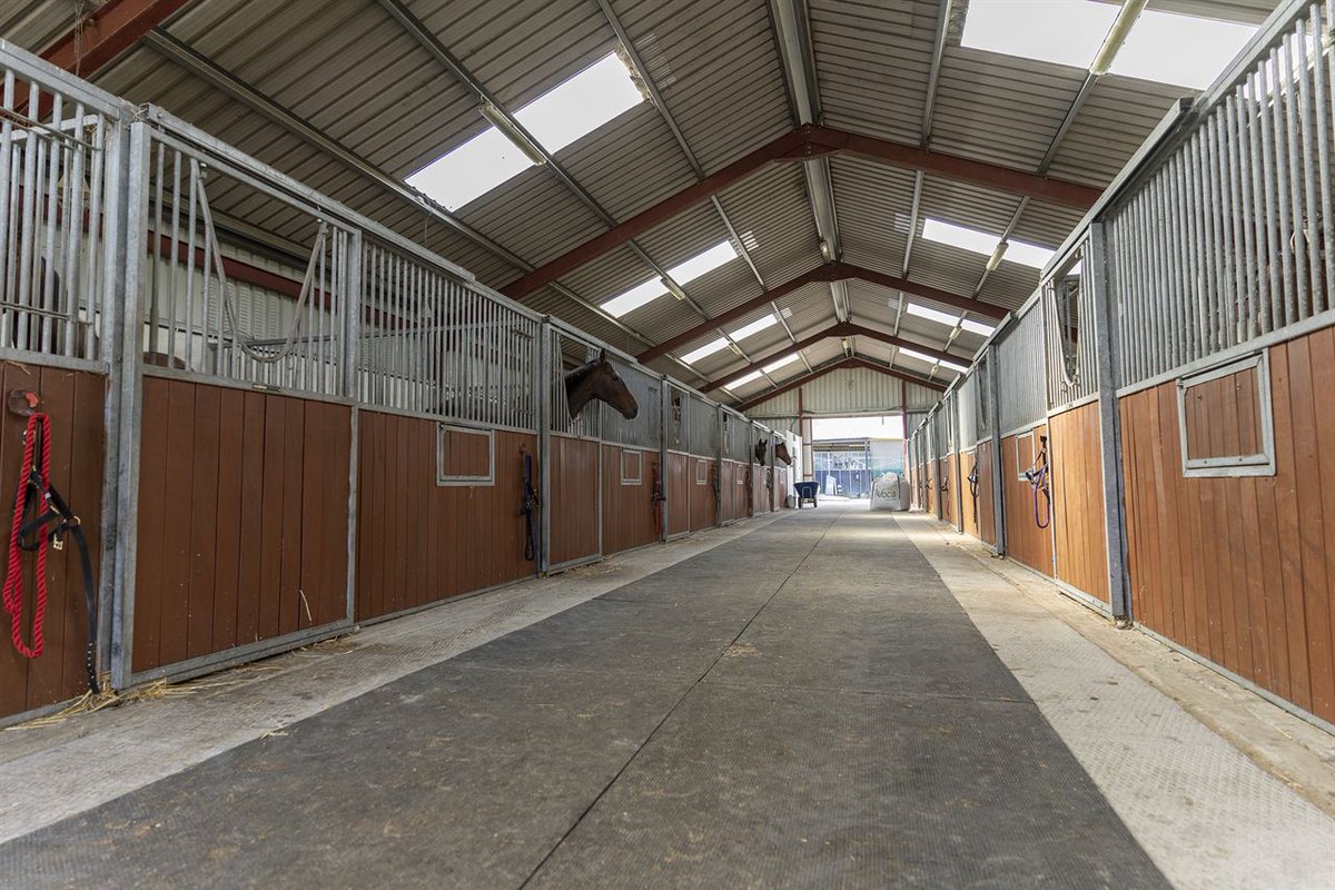 IREthoroughbred's tweet photo. 🏠 NEW PROPERTY🏠

💻 Browse ITM's website for equine properties on the market 🇮🇪

🟥 CUCKOO HILL 🟥
🌳 18.5 acres
ℹ️ A superb training facility with a charming family residence &amp; short drive from Bunclody. 
📍 Bunclody, Co. Wexford
ℹ️ @GoffsProperty

📖 https://t.co/5BhUiXv5eb https://t.co/uJluFn9B3h