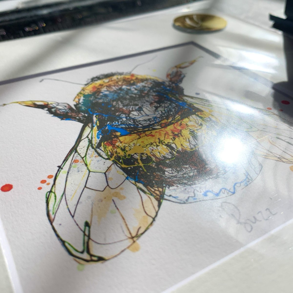 Isn't Buzz just resplendent in that Spring sunshine? Fingers crossed that there's more sun on the way soon - or at least that we can say goodbye to the snow for now! 😅
This sunny little guy is now available in two different sizes! Shop Buzz here: bit.ly/KC-Buzz 🐝