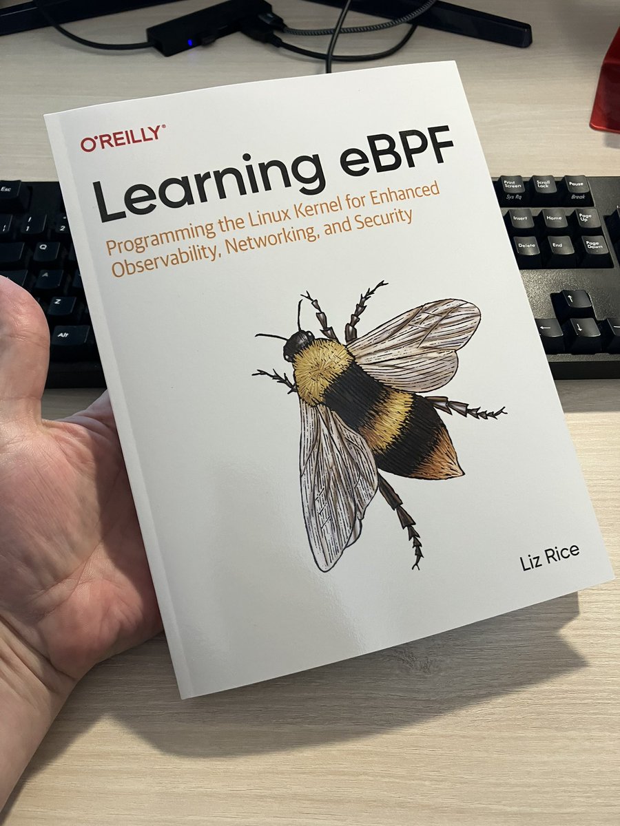 Look at this! By @lizrice. People often ask how to get started in #ebpf. This is the new best way!