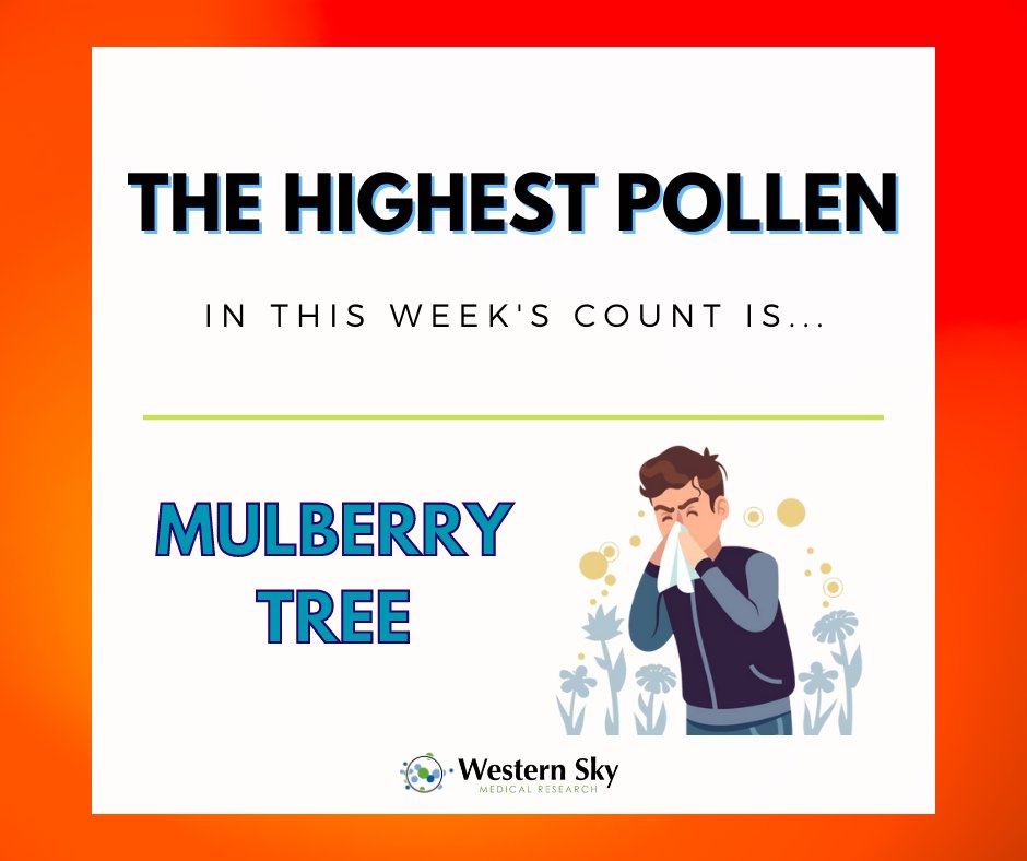 Here's our Main Pollen of the Week! 🌳

From Mar. 19 - Mar. 23, the Mulberry Tree once again recorded the highest source of pollen.

Are you prepared for spring with allergy medications and nasal sprays?

#pollencount #trees #allergyseason #breathebetter #springtime