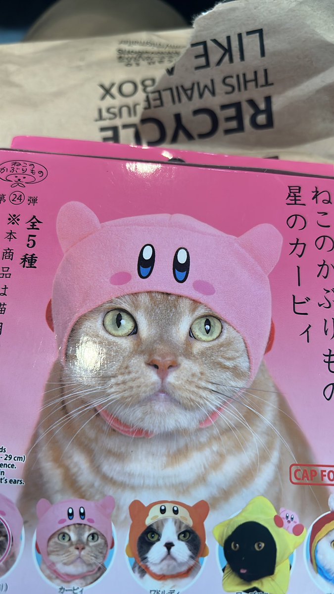 Byron Drek tweet media