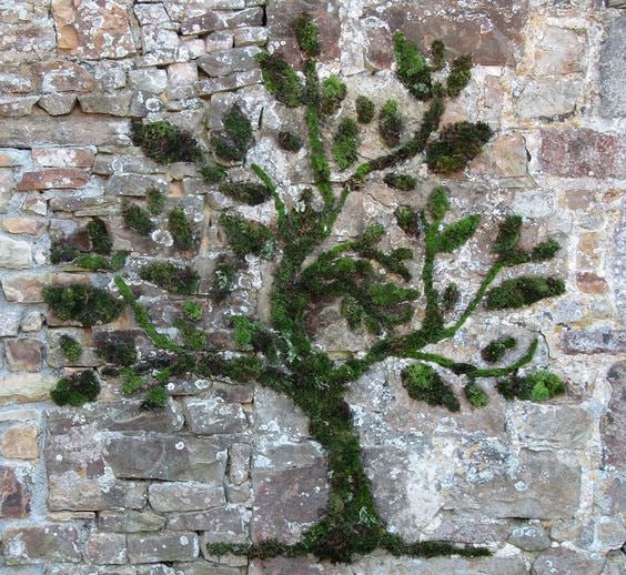 friendly reminder that moss graffiti is a thing