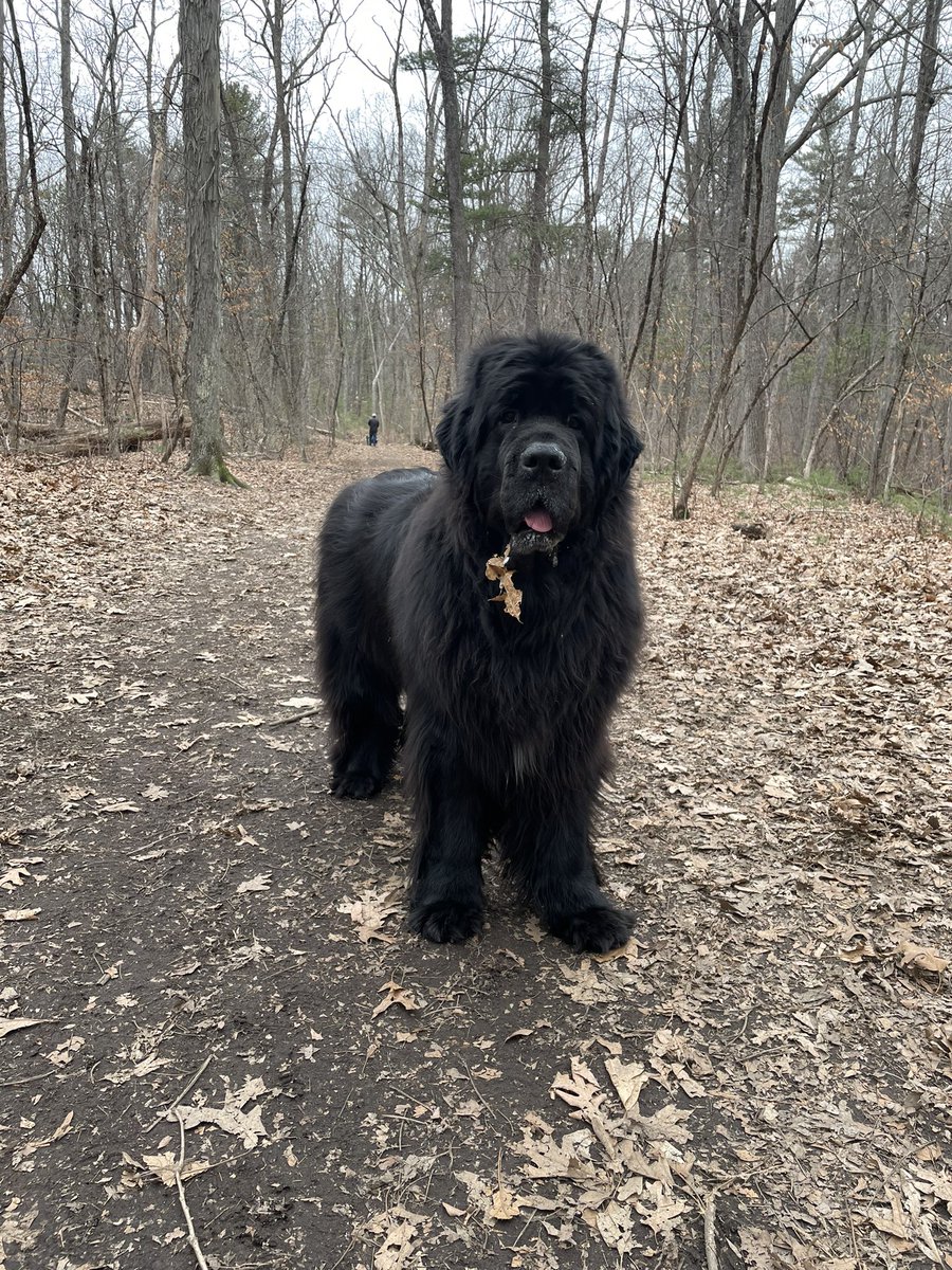 wendy button☮️ tweet media