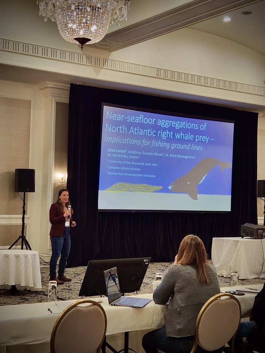 Thank you everyone at the @CWF_FCF workshop for the great questions following my presentation about near-seafloor aggregations of #rightwhale prey in the Gulf of St Lawrence. I learned a lot from the ensuing discussion about #copepods & risk of #whale entanglement #CWFNARW2023