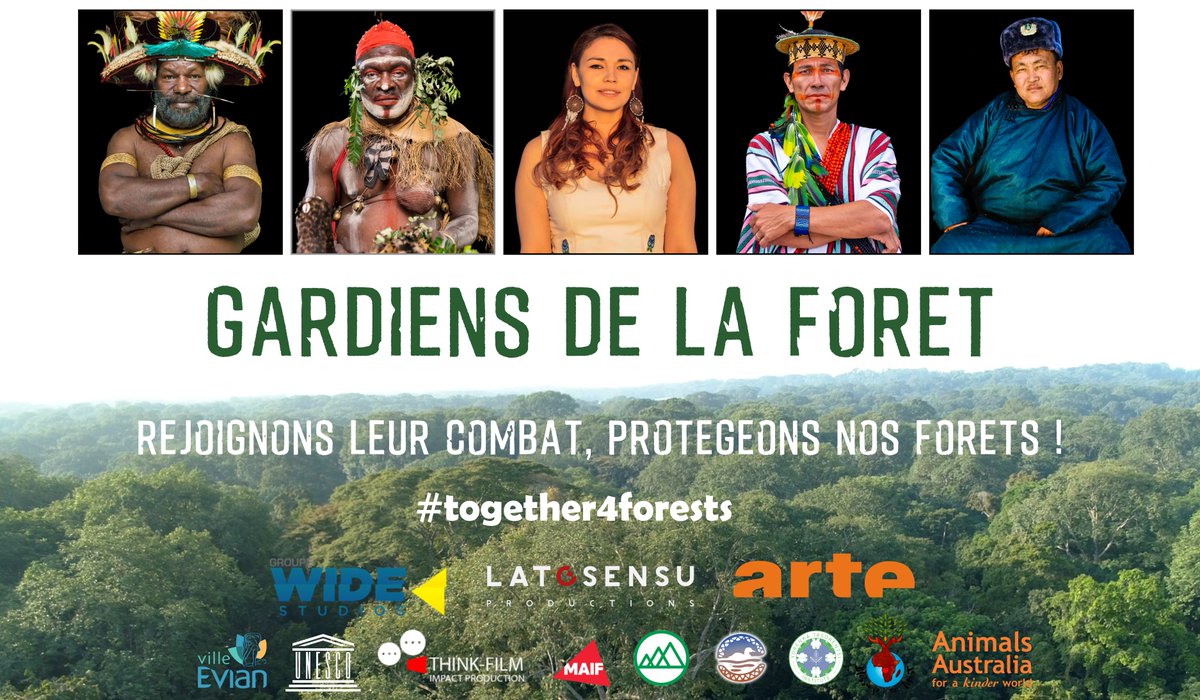 Parce que nous avons BESOIN DE VOUS pour la finaliser, la série documentaire GARDIENS DE LA FORÊT arrive bientôt sur KissKiss !
Rejoignez-nous et partagez l'aventure des GARDIENS engagés pour la préservation des grandes FORÊTS du monde. Pour s'inscrire✅ kisskissbankbank.com/fr/projects/ga…