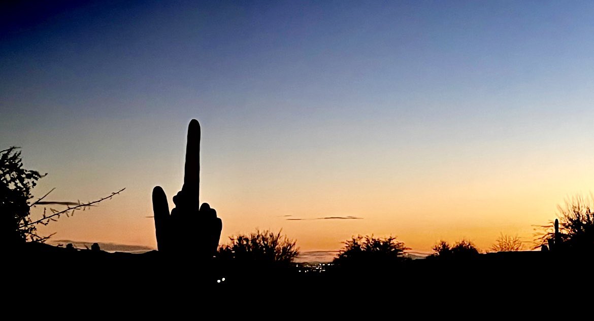 𝒇𝒍𝒆𝒍𝒇 ️ on Twitter "Middle finger cactus pic I took 2 years ago"