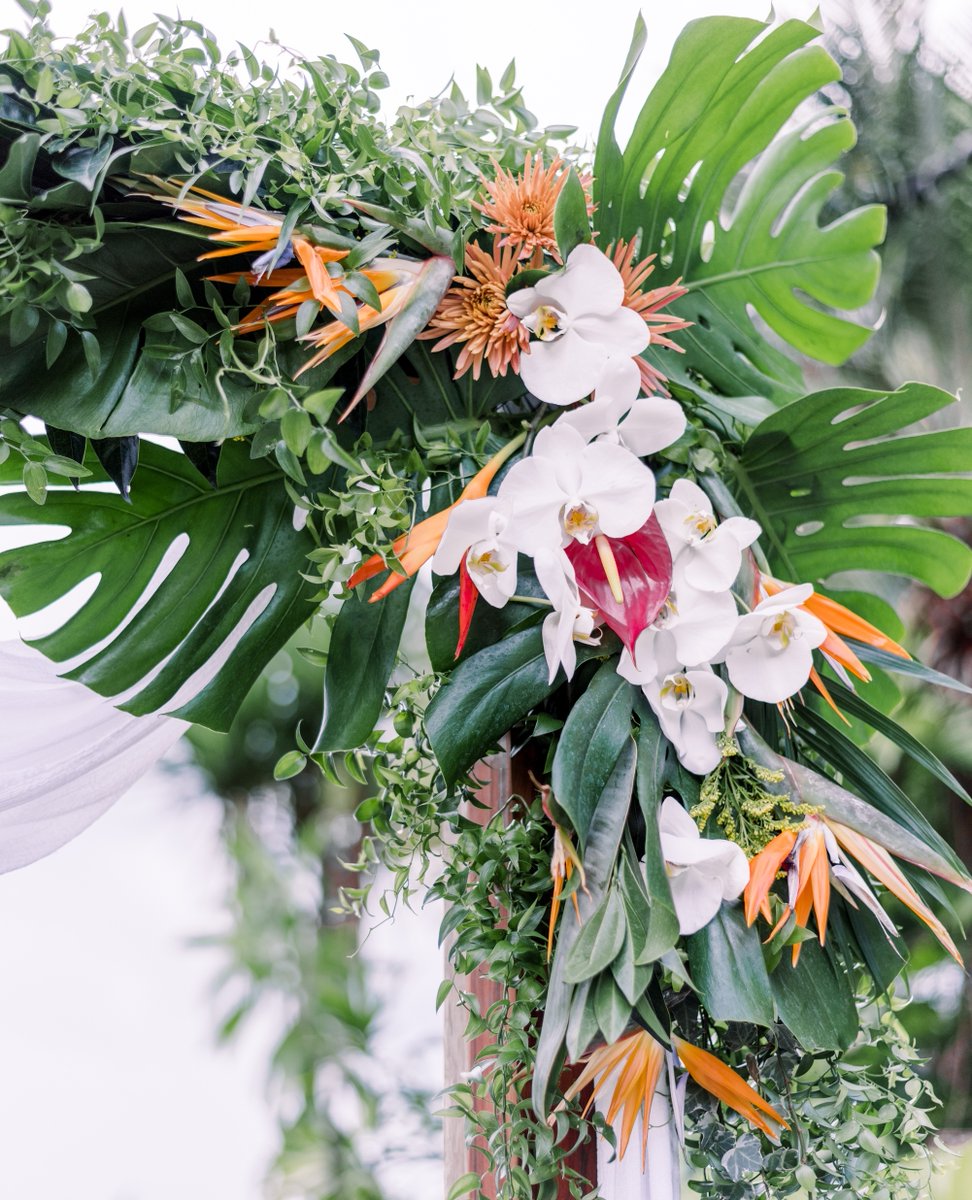 destinationido's tweet image. For Anna and Stafford, months of planning resulted in a breathtaking Costa Rican mountaintop ceremony and a joyous weekend of celebrating love.⁠
⁠⁠
Photographer: @kaylanewsomephotography⁠
Planner: @milbesoscr⁠
Venue: @villacaletas.oficial⁠
Florist: @flores_de_campos⁠