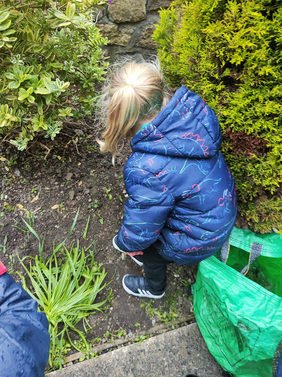 Holtonprimary's tweet photo. Lots of green fingers at @StMarysBarry ๐ท Today we tidied up the garden area, pulling up weeds and fallen leaves and planted some more flowers! We all enjoyed the walk down and were very careful crossing the road ๐ธ #HPSReception #inquiry https://t.co/hdUfvejXLs