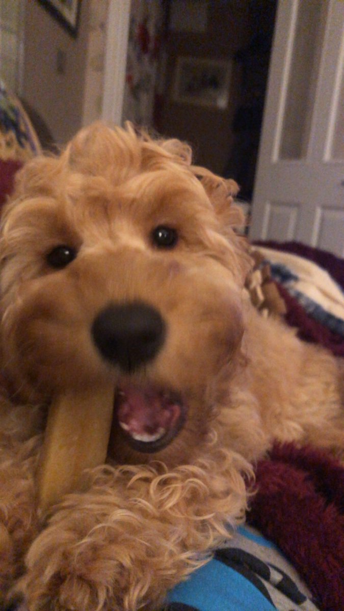 Beverley Hughes tweet media