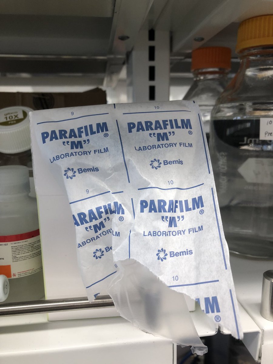 Olga Eremina tweet media