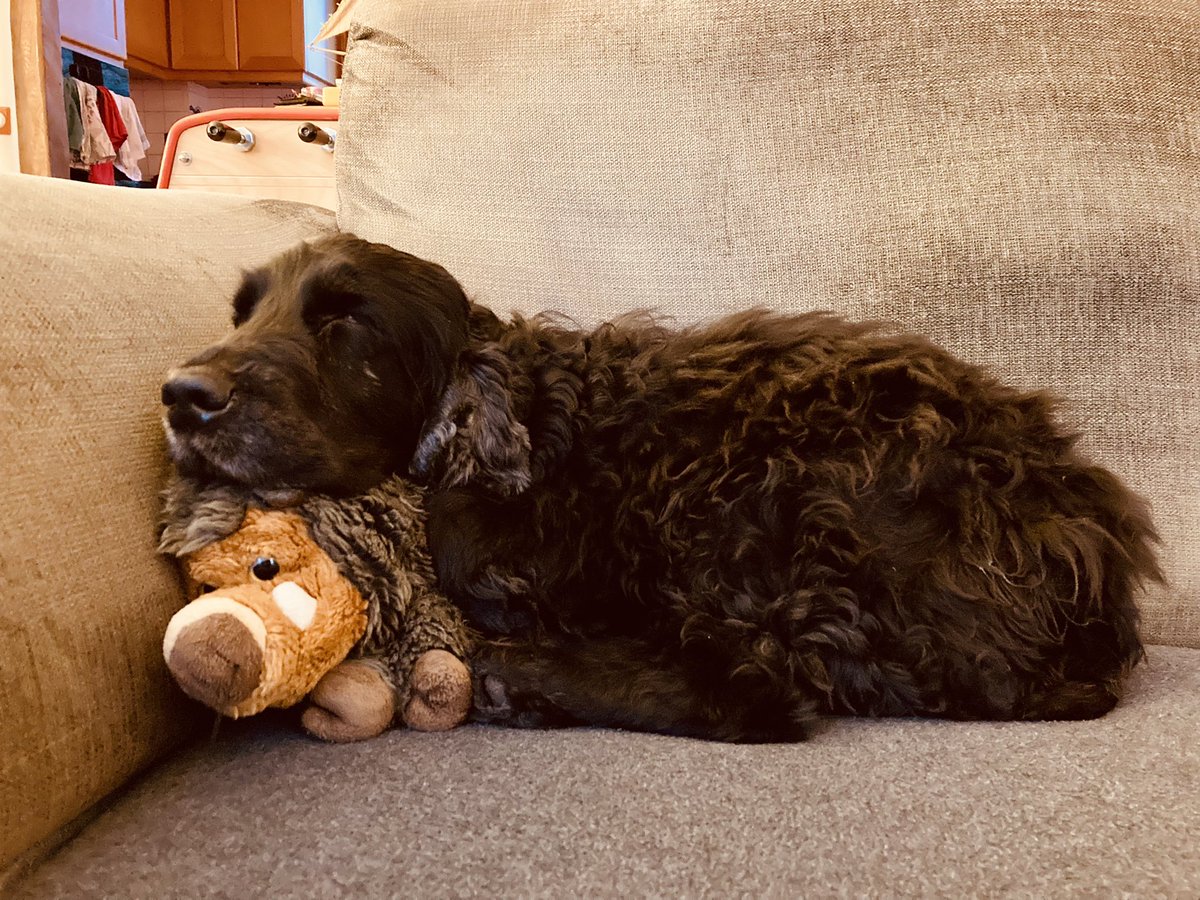 <a href="/dog_rates/">WeRateDogs</a> #NationalPuppyDay