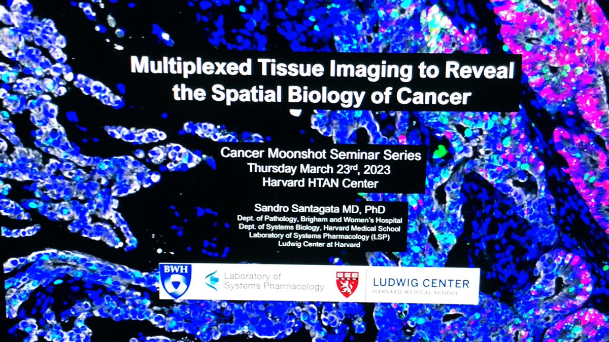 cemccarthy02's tweet photo. #CMSSHTAN: @SantagataLab @BrighamResearch is giving a #CancerMoonshotSeminar called “Multiplexed Tissue Imaging to Reveal the #SpatialBiology of Cancer.” #HTAN https://t.co/DT2zxHAlPX