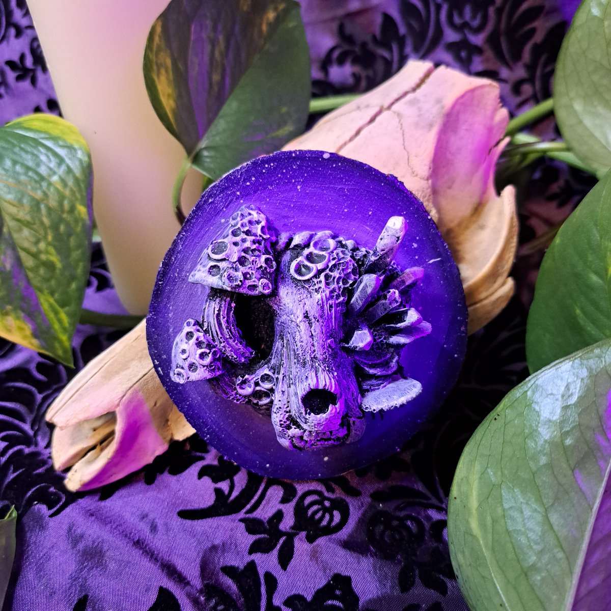 HellKittenRVA's tweet photo. Limited amount of Neon Kitties from @Hollymacabreart restocked to our sites! check out our linked tree for our website and etsy page for purchase! 
.
#taxidermy #oddities #taxidermyart #vultureculture #HollyMacabreart #curiosities #odditiesandcuriosities #skulls #macabreart #art https://t.co/4BQlIIVjNA