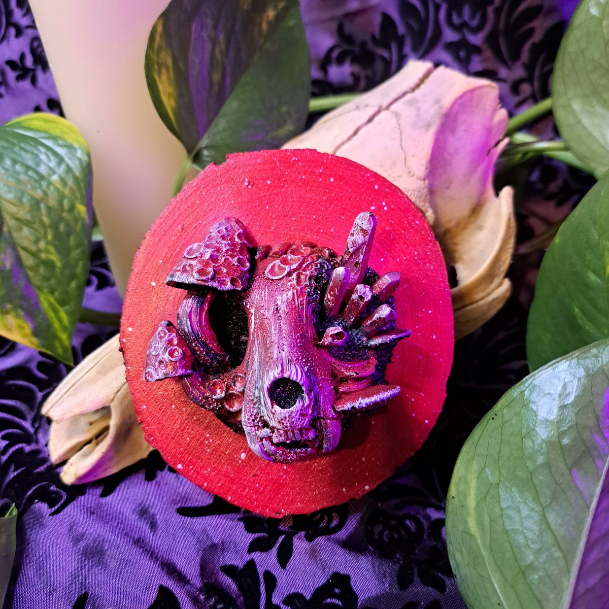 HellKittenRVA's tweet photo. Limited amount of Neon Kitties from @Hollymacabreart restocked to our sites! check out our linked tree for our website and etsy page for purchase! 
.
#taxidermy #oddities #taxidermyart #vultureculture #HollyMacabreart #curiosities #odditiesandcuriosities #skulls #macabreart #art https://t.co/4BQlIIVjNA