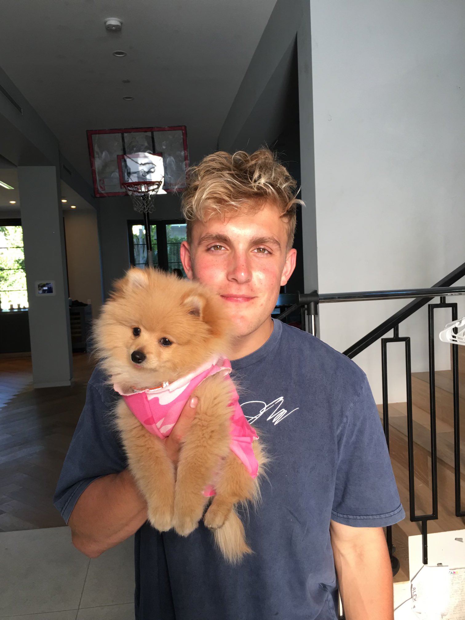 Jake Paul on X