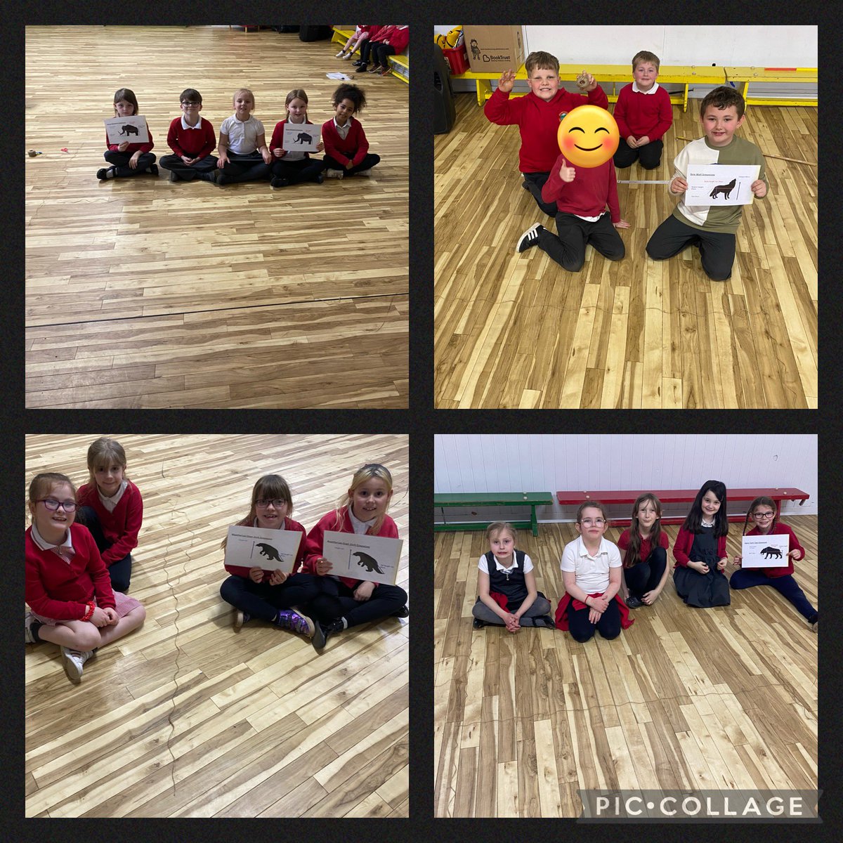 Year 3 Hengoed Primary tweet media
