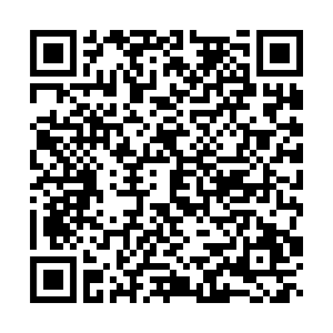 SpotsyLibrary's tweet image. Its&apos; time to vote for the 2022-2023 @spotsylibrary book of the year! Scan the code to vote in the Sweet Sixteen. These 16 books were the most circulated books @SpotsyKnights
