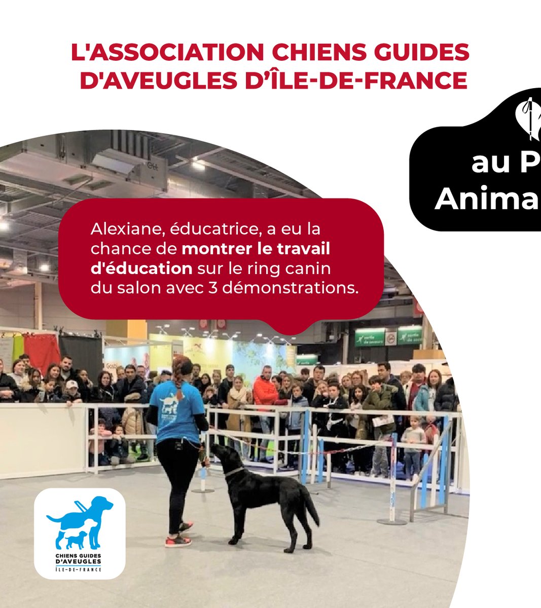 FFAC - chiens guides tweet media