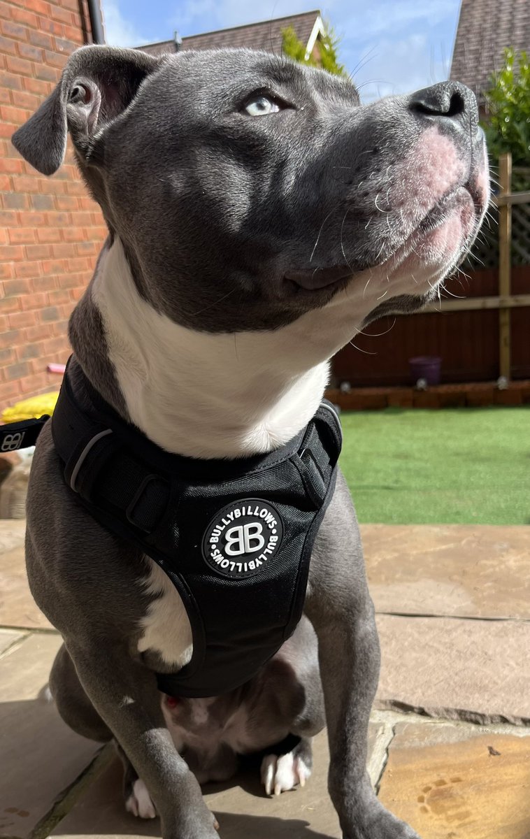 Dai 🏴󠁧󠁢󠁷󠁬󠁳󠁿 tweet media