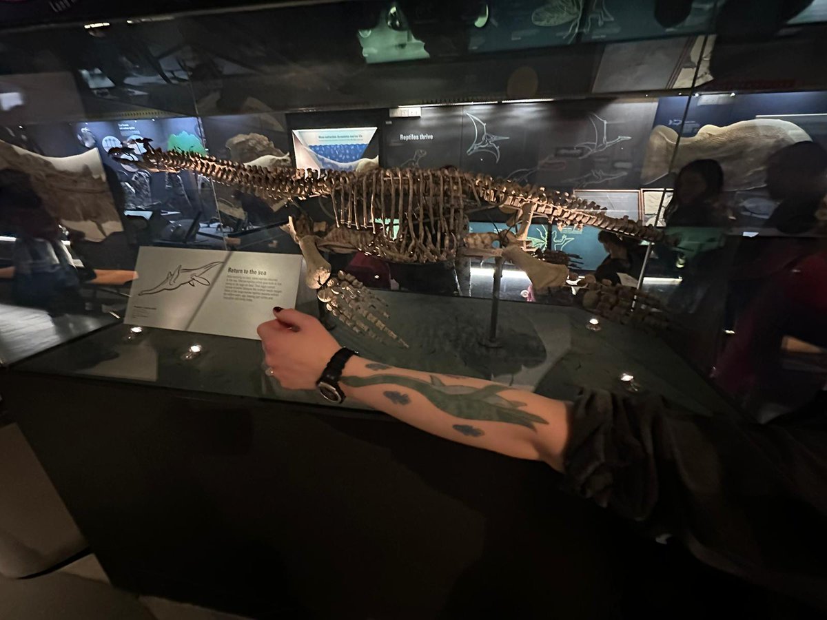 AnimatorIona's tweet photo. Plesiosaurus inception
#DINO #dinosaurs #dinosaur #Museum https://t.co/hMYNyqA4jW