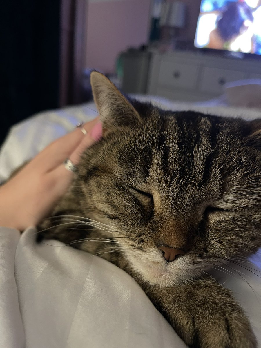 Forever my favourite girly😿🫶🏼