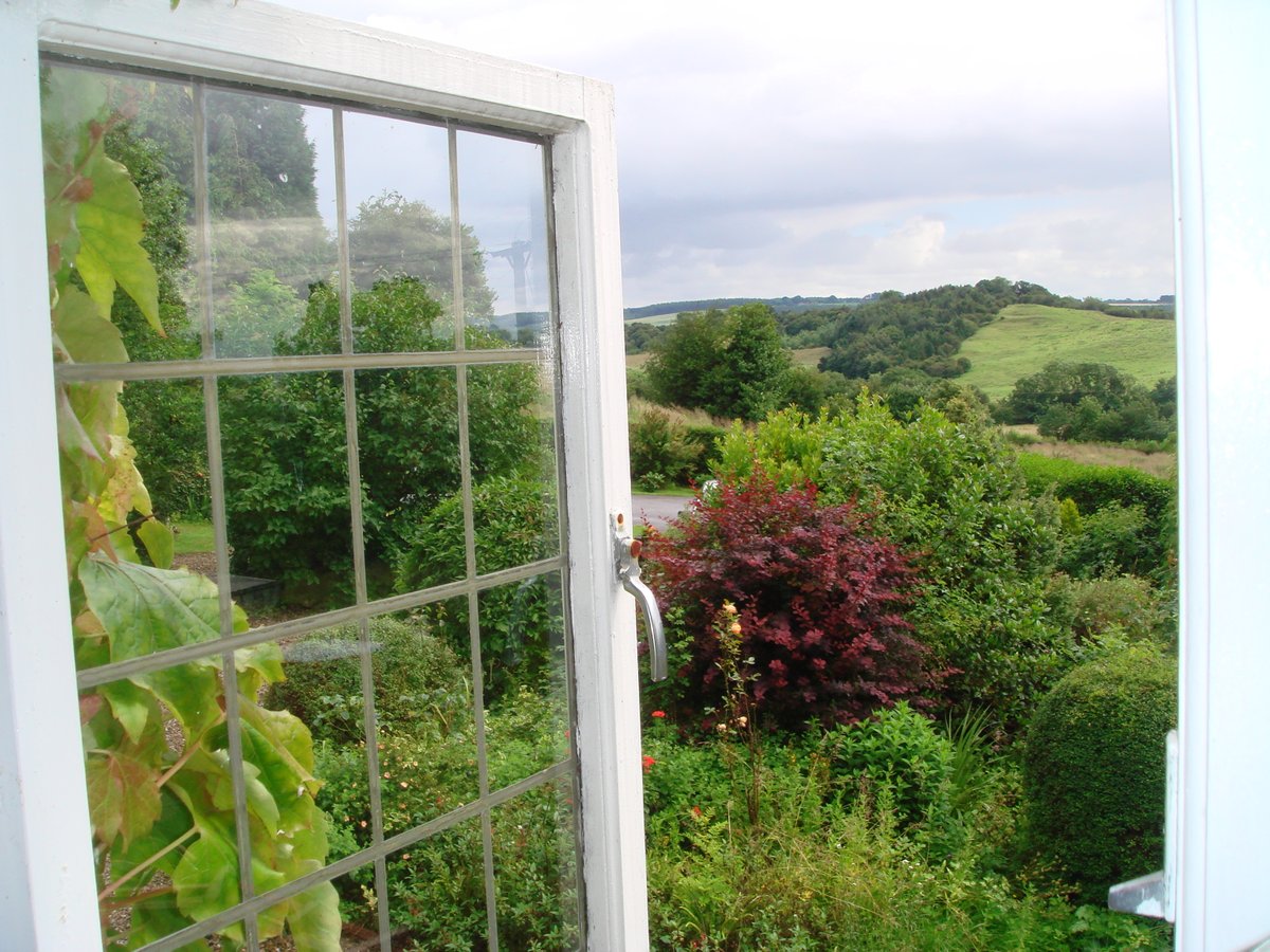 Anna Lupton tweet media