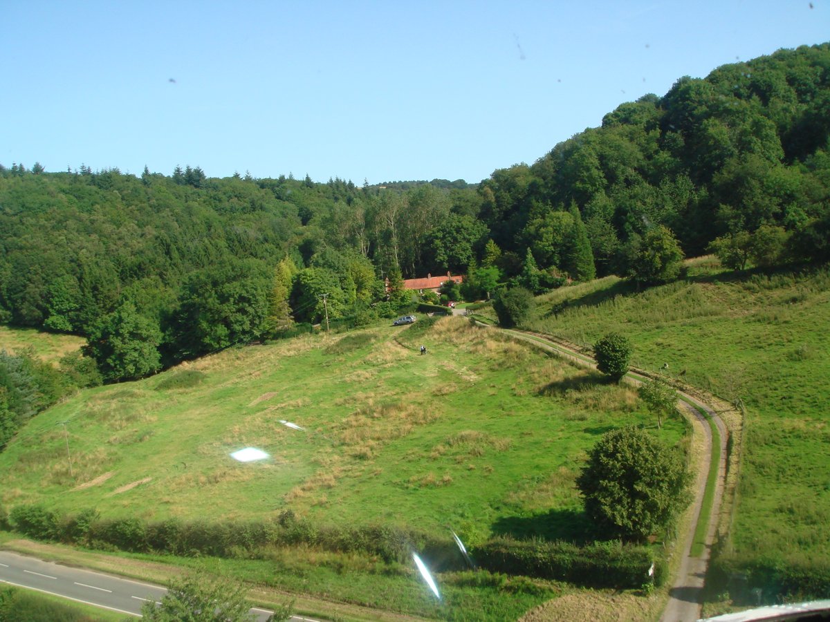 Anna Lupton tweet media