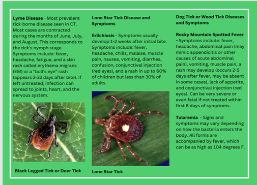 ChesprocottHealthDistrict tweet media
