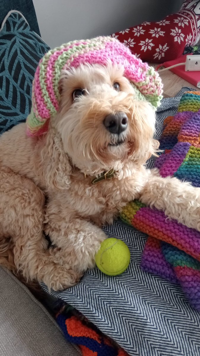 David Claridge tweet media