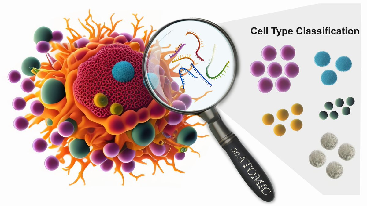 Ido Nofech-Mozes (@inofechm) on Twitter photo Excited to share our work published today in <a href="/NatureComms/">Nature Communications</a> on scATOMIC, a tool for pan-cancer classification of single cells in the tumour microenvironment from scRNA-seq data. nature.com/articles/s4146… Excited to share our work published today in <a href="/NatureComms/">Nature Communications</a> on scATOMIC, a tool for pan-cancer classification of single cells in the tumour microenvironment from scRNA-seq data. nature.com/articles/s4146…