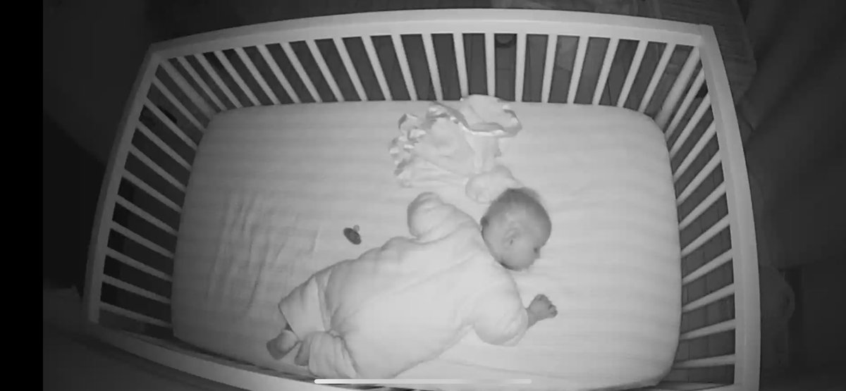 Tess McBride tweet media