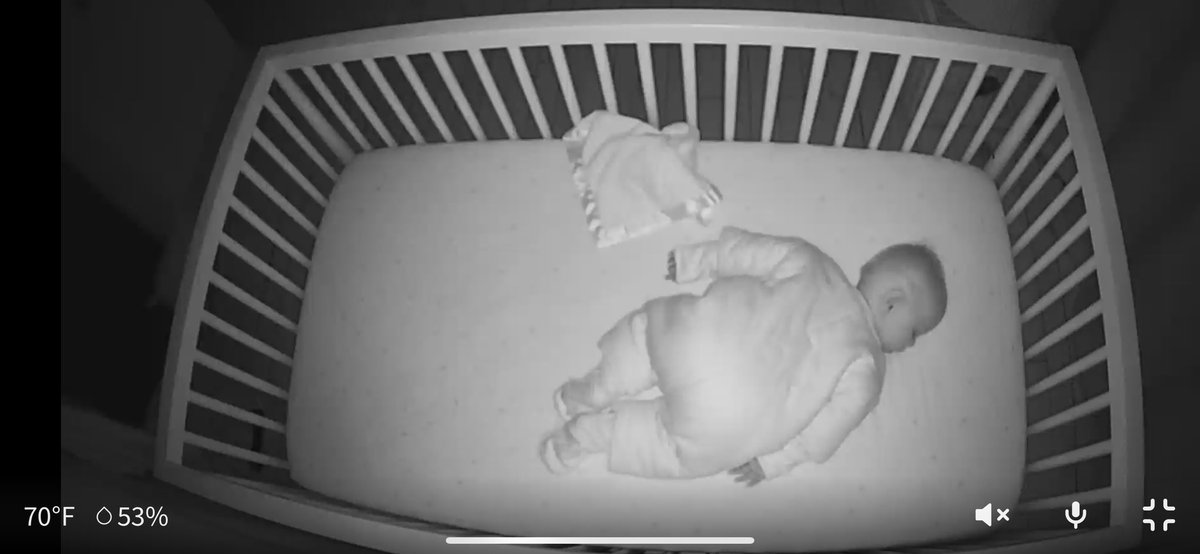 Tess McBride tweet media