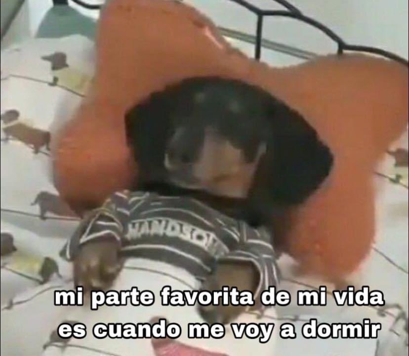 fernechini's tweet photo. Así es https://t.co/7PoXsYZN8g