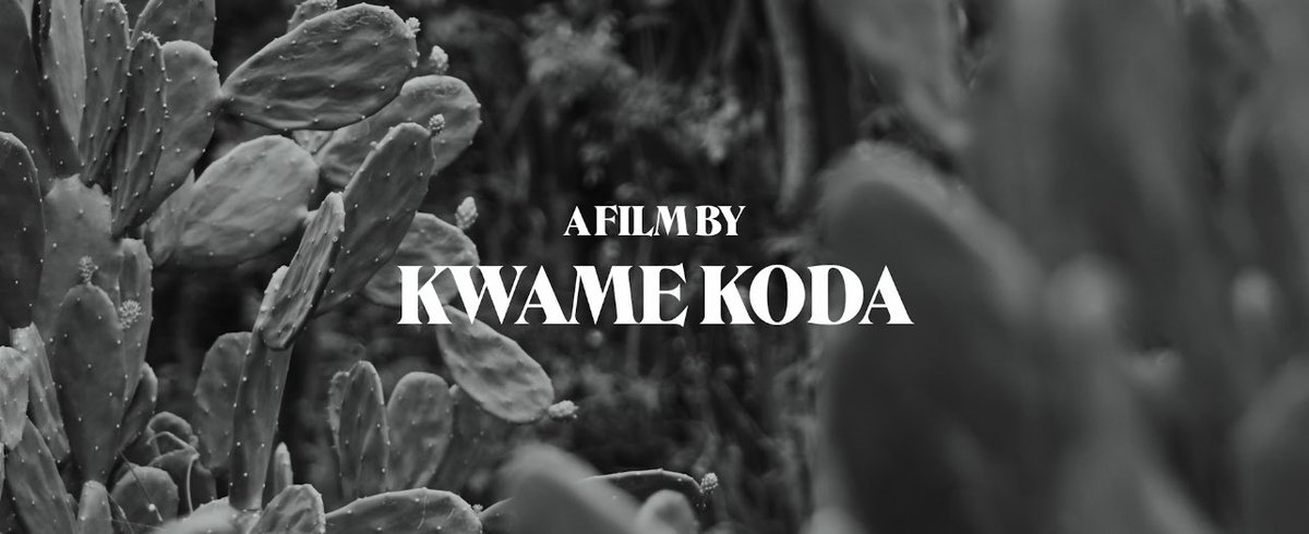 KwameKoda's tweet photo. Pain Interlude directed by me for Kwesi Arthur. 

Major appreciation to Meekah Jags and @edwardpappoe for helping me bring this one to life!🙏🏾☀️🎥

TEAM:
Director | @kwamekodah 
Producer | @meekahjags 
Creative Director | @kwamekodah 
Cinematographer | Edward Pappoe @edwardpappoe https://t.co/zGOxN31b6H