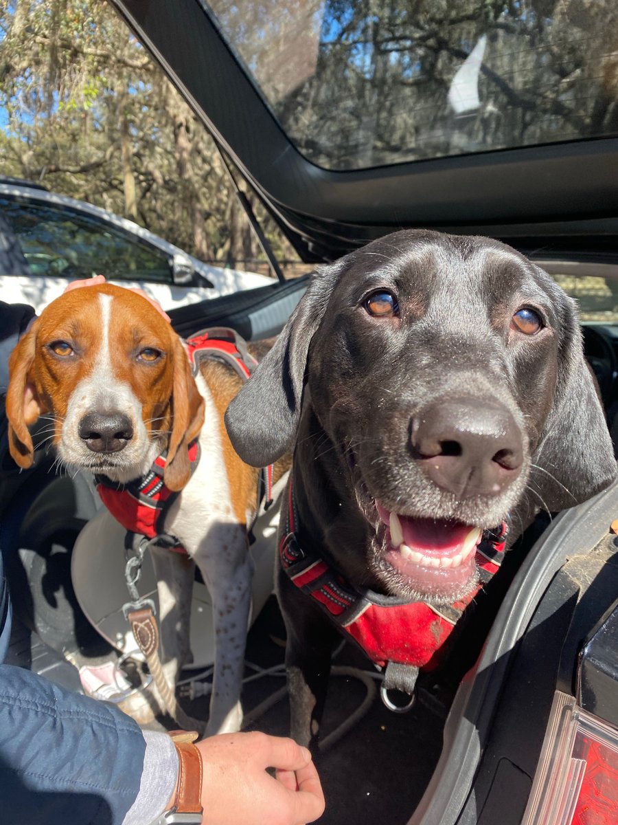 MichiContreras's tweet photo. Heard itβs #NationalPuppyDay π #TMobilePets https://t.co/1X8LOZZx2Q