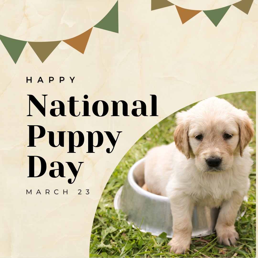 Happy National Puppy Day! Extending our love to all our furry four-legged friends.