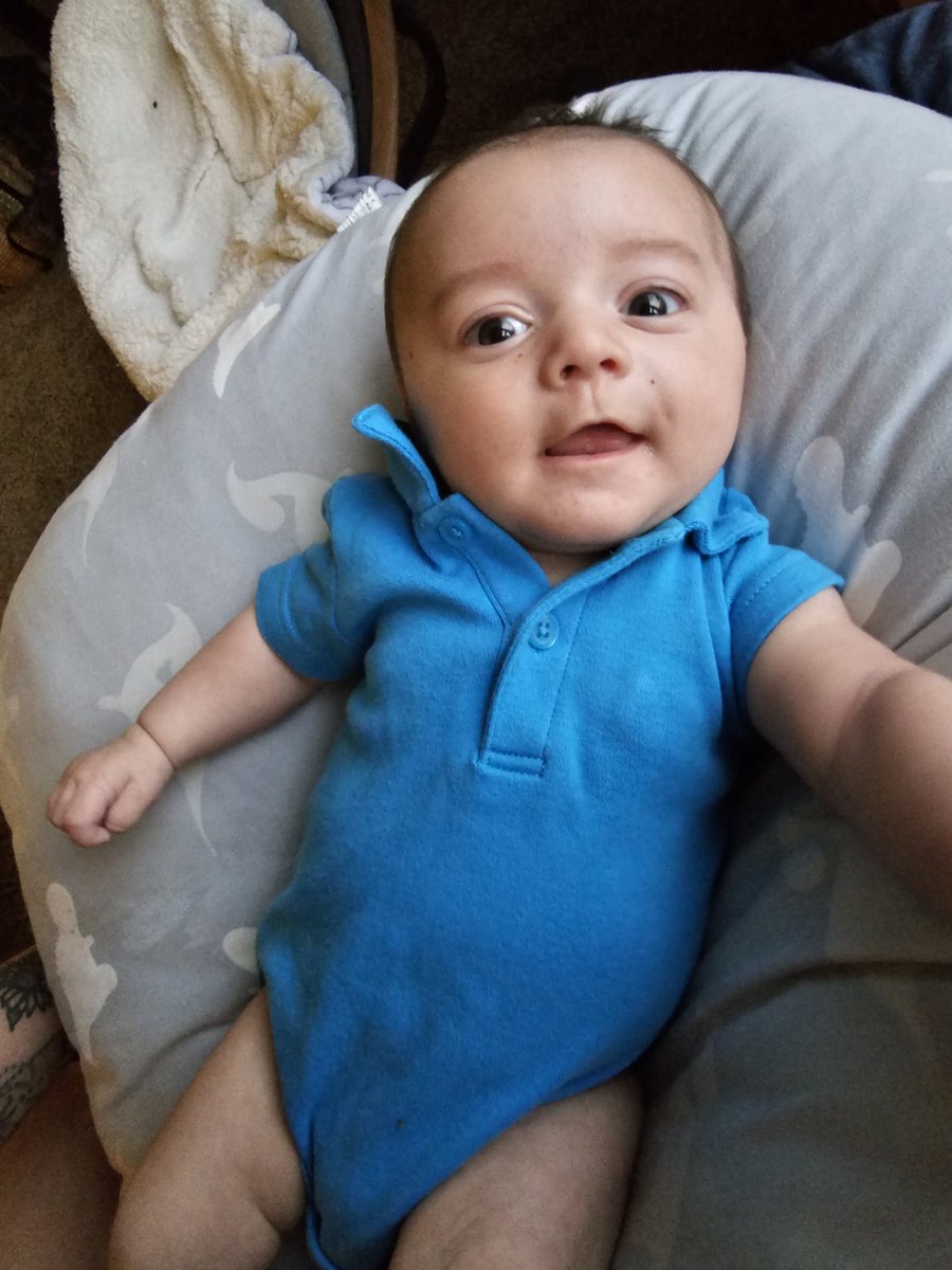 danibobanni's tweet photo. I have the most handsome boy🫶🫶 https://t.co/HTYMYBlFQw